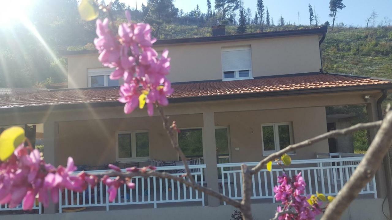 Čapljina Apartment Marta מראה חיצוני תמונה