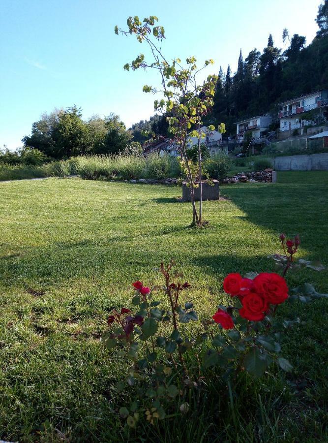 Čapljina Apartment Marta מראה חיצוני תמונה